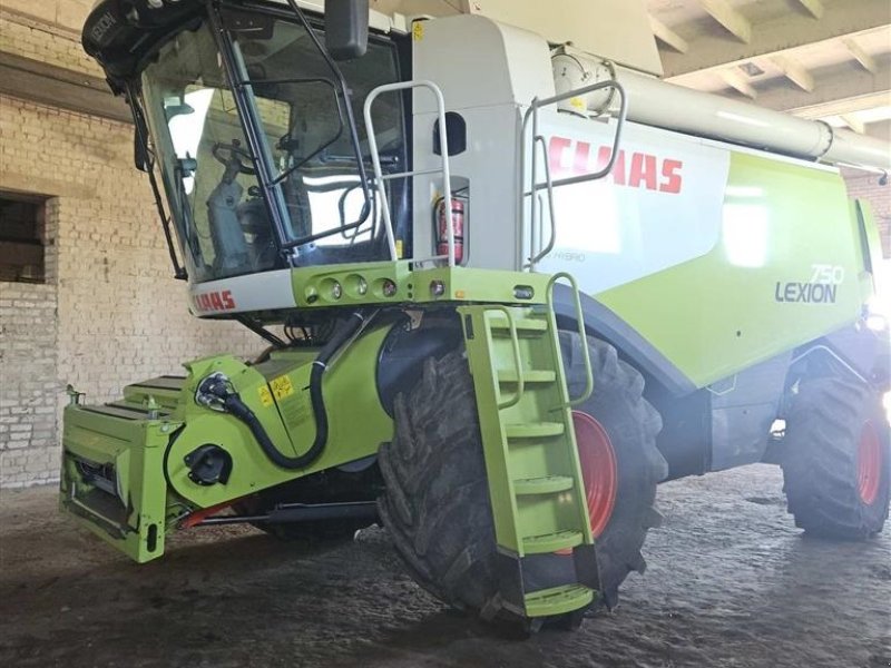 Mähdrescher tip CLAAS LEXION 750 Kun 850 Høsttimer. Incl CLAAS Vario 750 Skærebord og vogn. Ring til Ulrik på 0045-40255544. Jeg snakker Jysk, tysk og engelsk., Gebrauchtmaschine in Kolding (Poză 1)