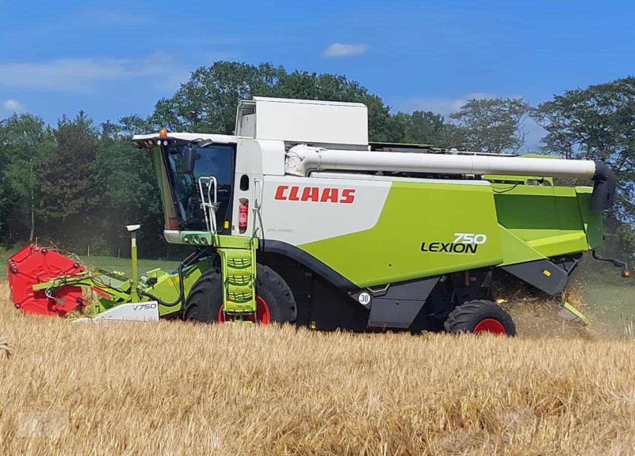 Mähdrescher des Typs CLAAS Lexion 750 Montana 4WD, Gebrauchtmaschine in Pragsdorf (Bild 4)