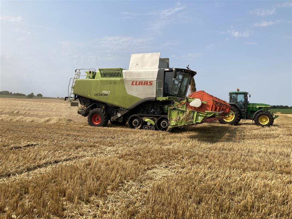 Mähdrescher typu CLAAS LEXION 750 TERRA TRAC 30f, Gebrauchtmaschine v Rødekro (Obrázek 3)