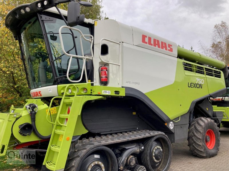 Mähdrescher del tipo CLAAS Lexion 750 Terra Trac, Gebrauchtmaschine en Lichtenau-Kleinenberg (Imagen 1)