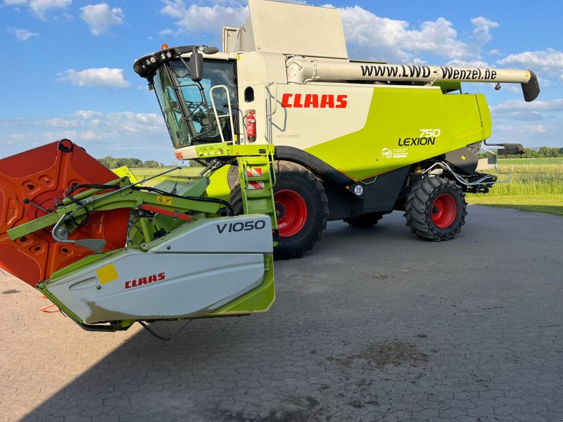 Mähdrescher del tipo CLAAS Lexion 750, Gebrauchtmaschine en Niedersachsen - Bückeburg (Imagen 1)