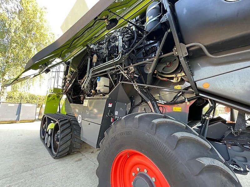 Mähdrescher des Typs CLAAS LEXION 780TT, Gebrauchtmaschine in Kaunas (Bild 8)