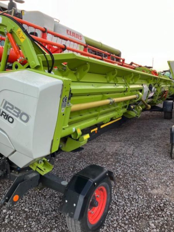 Mähdrescher typu CLAAS LEXION 8700 TERRA TRAC, Gebrauchtmaschine w Landsberg (Zdjęcie 6)