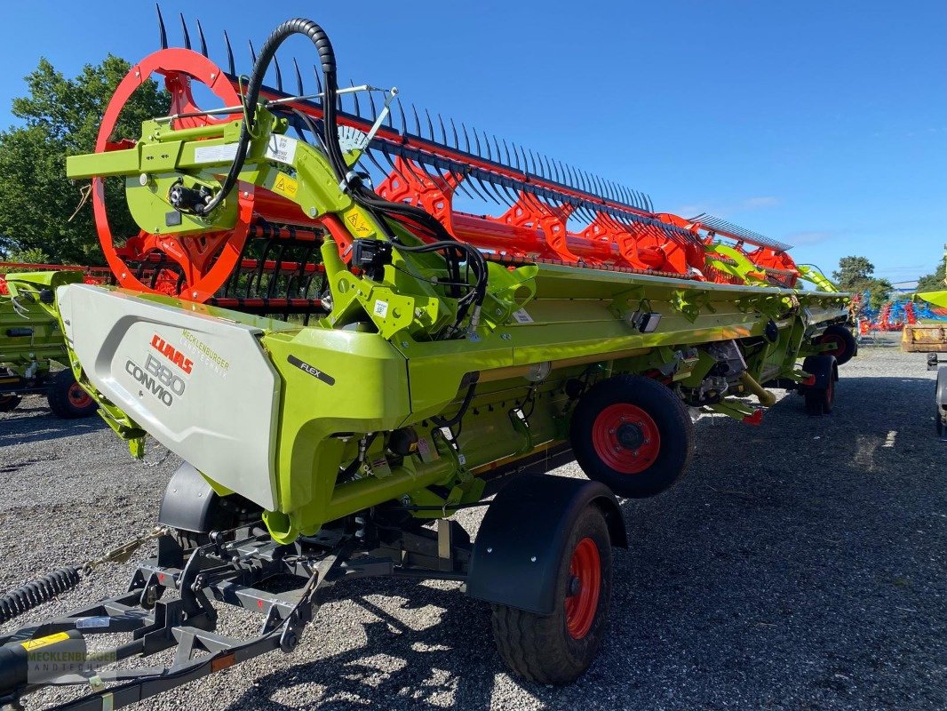 Mähdrescher des Typs CLAAS Lexion 8800 TT - "DEMO 2024", Gebrauchtmaschine in Mühlengeez (Bild 14)