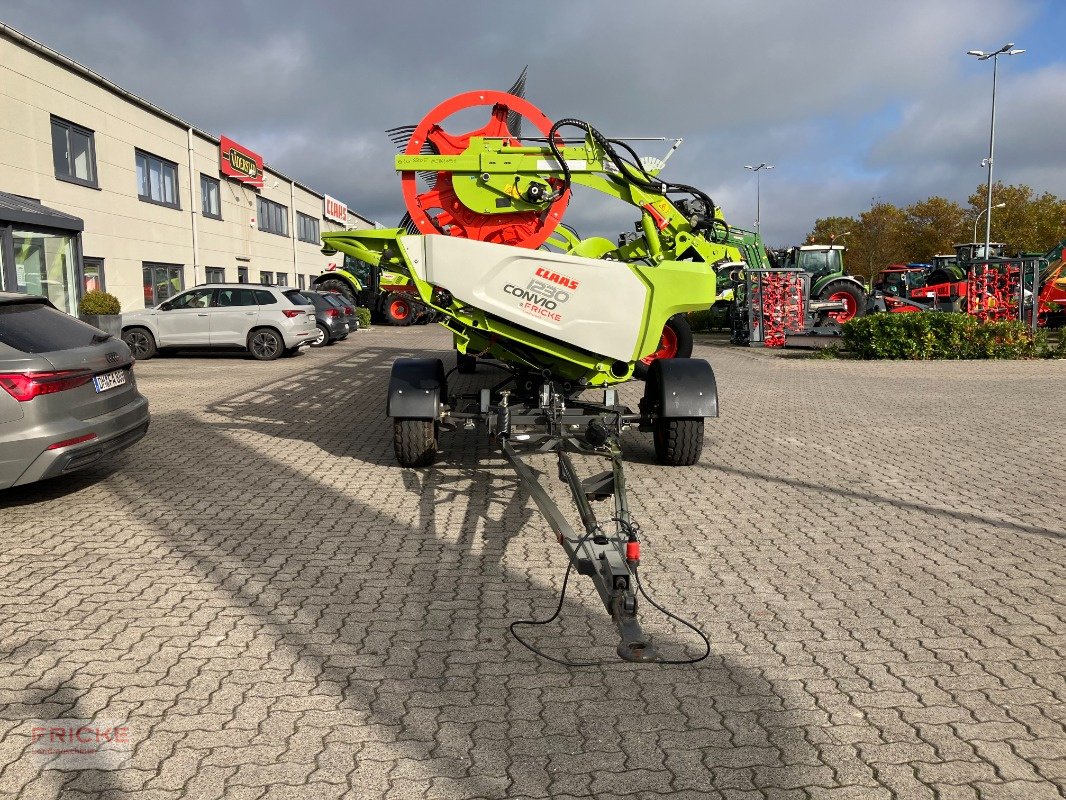 Mähdrescher des Typs CLAAS Lexion 8800 TT *SW Convio 1230*, Gebrauchtmaschine in Demmin (Bild 22)