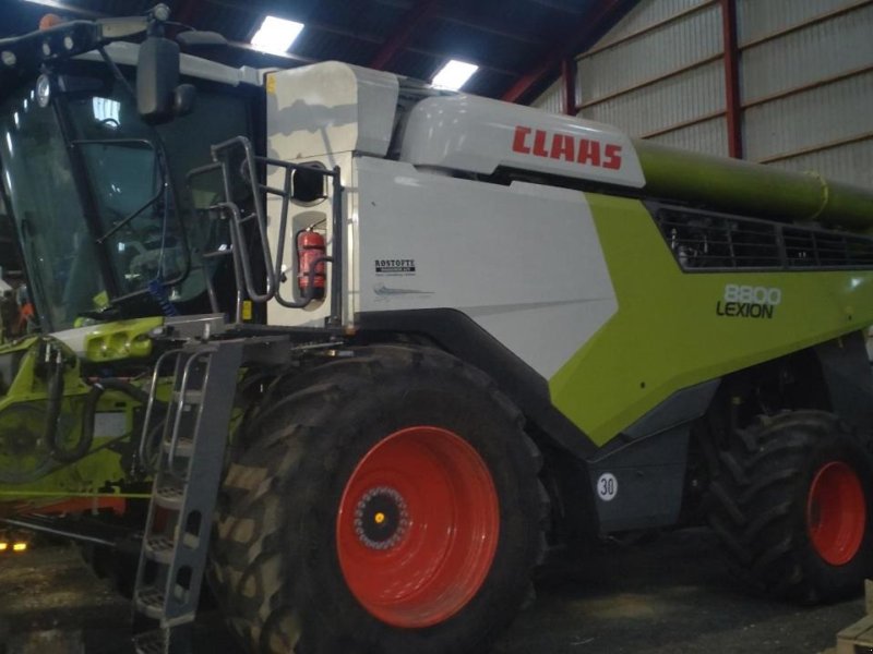 Mähdrescher des Typs CLAAS LEXION 8800, Gebrauchtmaschine in Maribo (Bild 1)