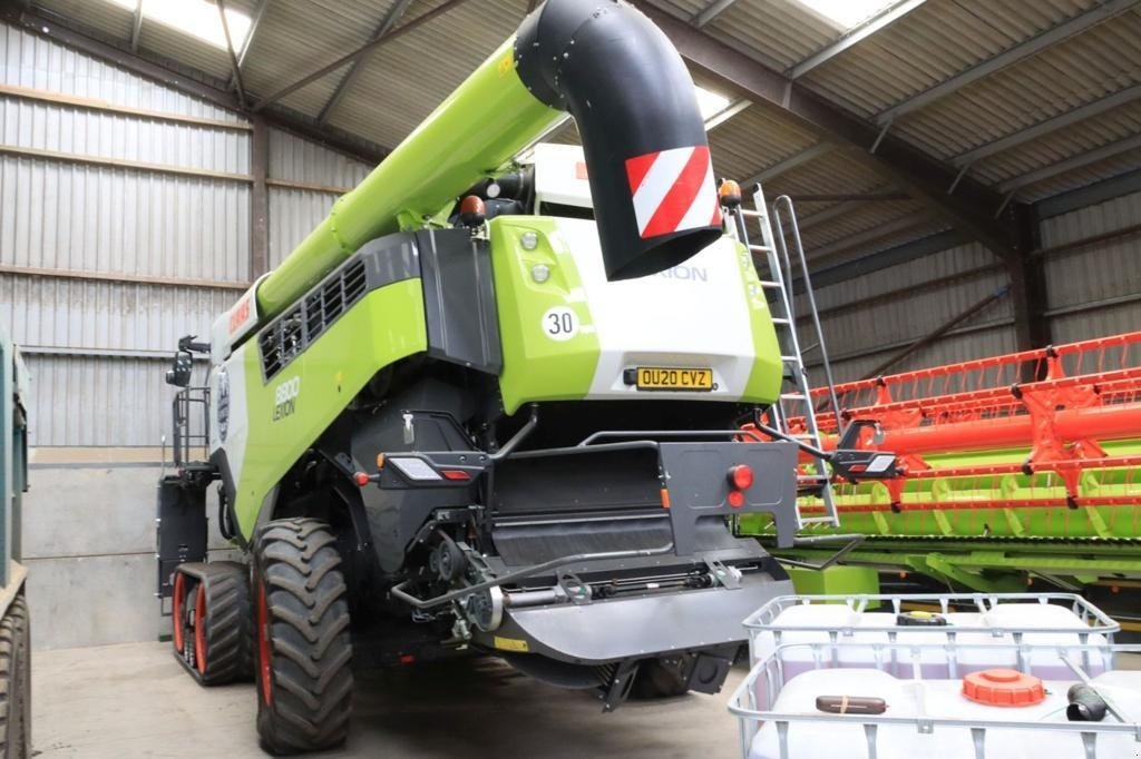 Mähdrescher des Typs CLAAS Lexion 8800TT Ring til Ulrik 0045-40255544. Jeg snakker Jysk, tysk og engelsk., Gebrauchtmaschine in Kolding (Bild 4)