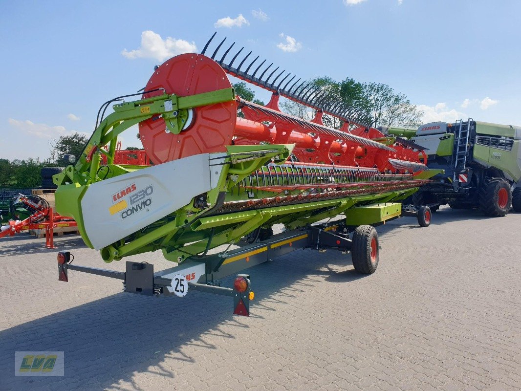 Mähdrescher typu CLAAS Lexion 8800TT, Gebrauchtmaschine v Schenkenberg (Obrázek 13)