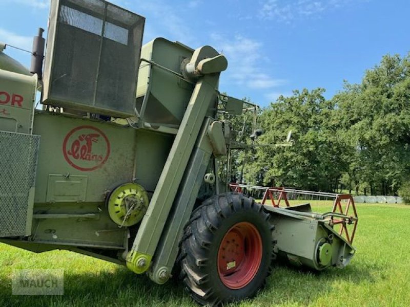 Mähdrescher van het type CLAAS Matador Gigant, Gebrauchtmaschine in Burgkirchen (Foto 5)