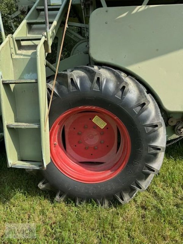 Mähdrescher des Typs CLAAS Matador Gigant, Gebrauchtmaschine in Burgkirchen (Bild 15)