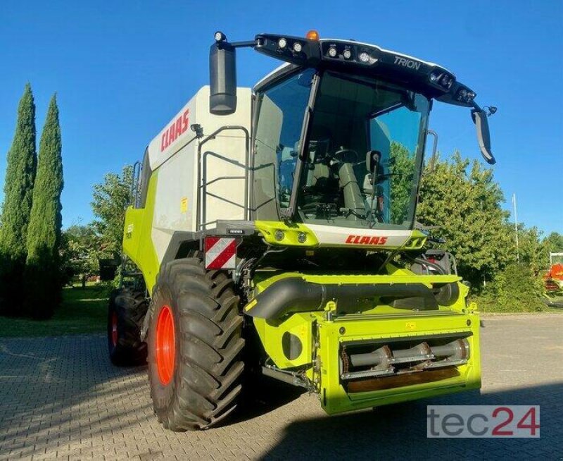 Mähdrescher des Typs CLAAS Trion 650 mit Schneidwerk, Gebrauchtmaschine in Östringen (Bild 9)