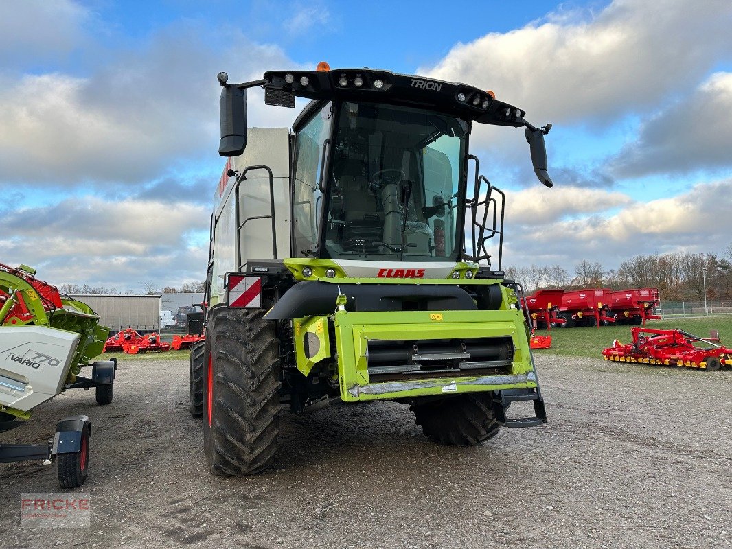 Mähdrescher типа CLAAS Trion 650, Neumaschine в Bockel - Gyhum (Фотография 5)