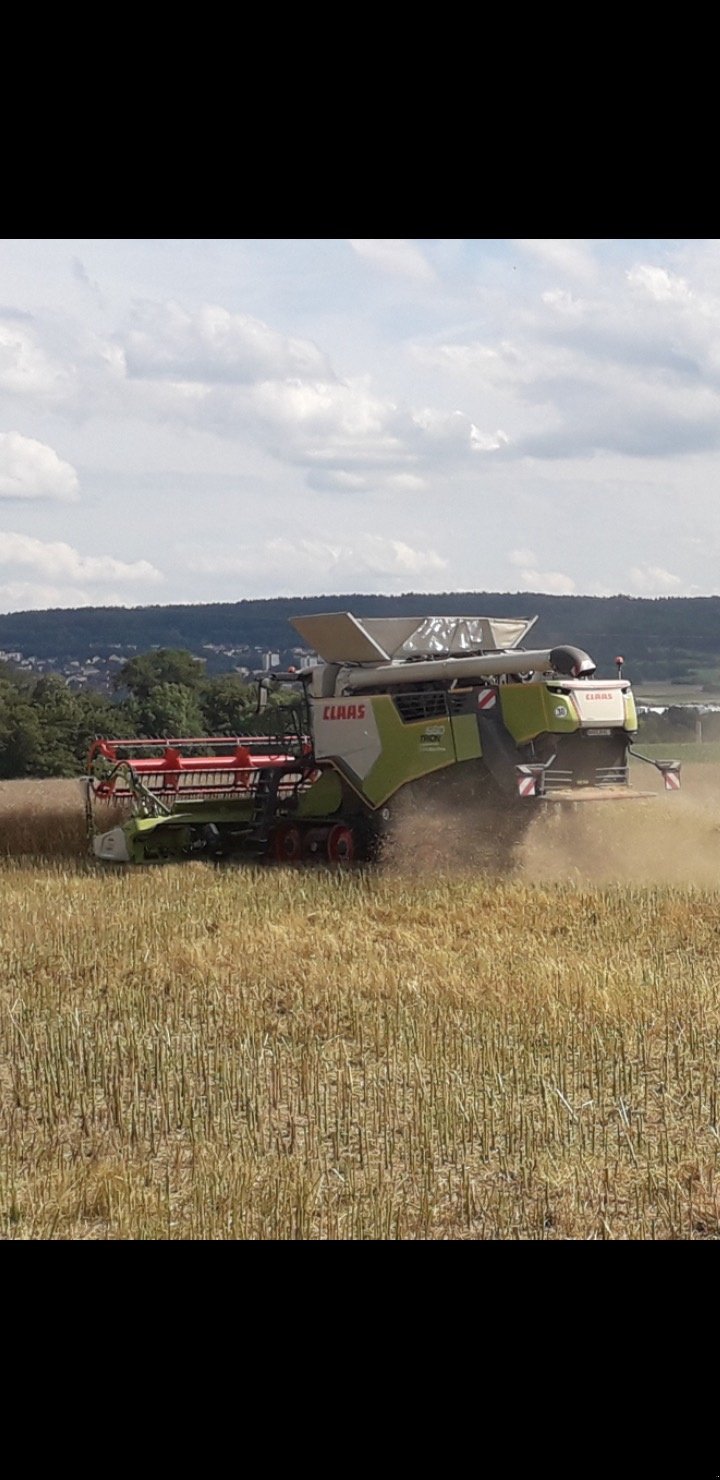 Mähdrescher des Typs CLAAS Trion 660, Gebrauchtmaschine in Alesheim (Bild 2)