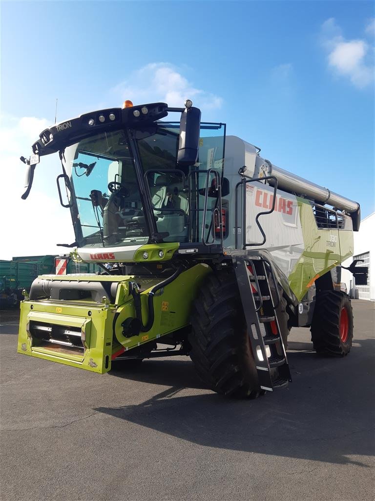 Mähdrescher van het type CLAAS Trion 730, Gebrauchtmaschine in Grimma (Foto 2)