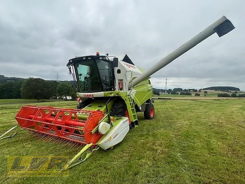 Mähdrescher tipa CLAAS Tucano 320 mit C430, Gebrauchtmaschine u Steinau-Rebsdorf