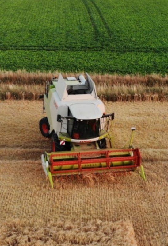 Mähdrescher des Typs CLAAS Tucano 420, Gebrauchtmaschine in Kneitlingen (Bild 23)