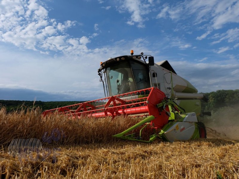 Mähdrescher van het type CLAAS Tucano 430  Getreidemaschine, Gebrauchtmaschine in Schutterzell (Foto 1)