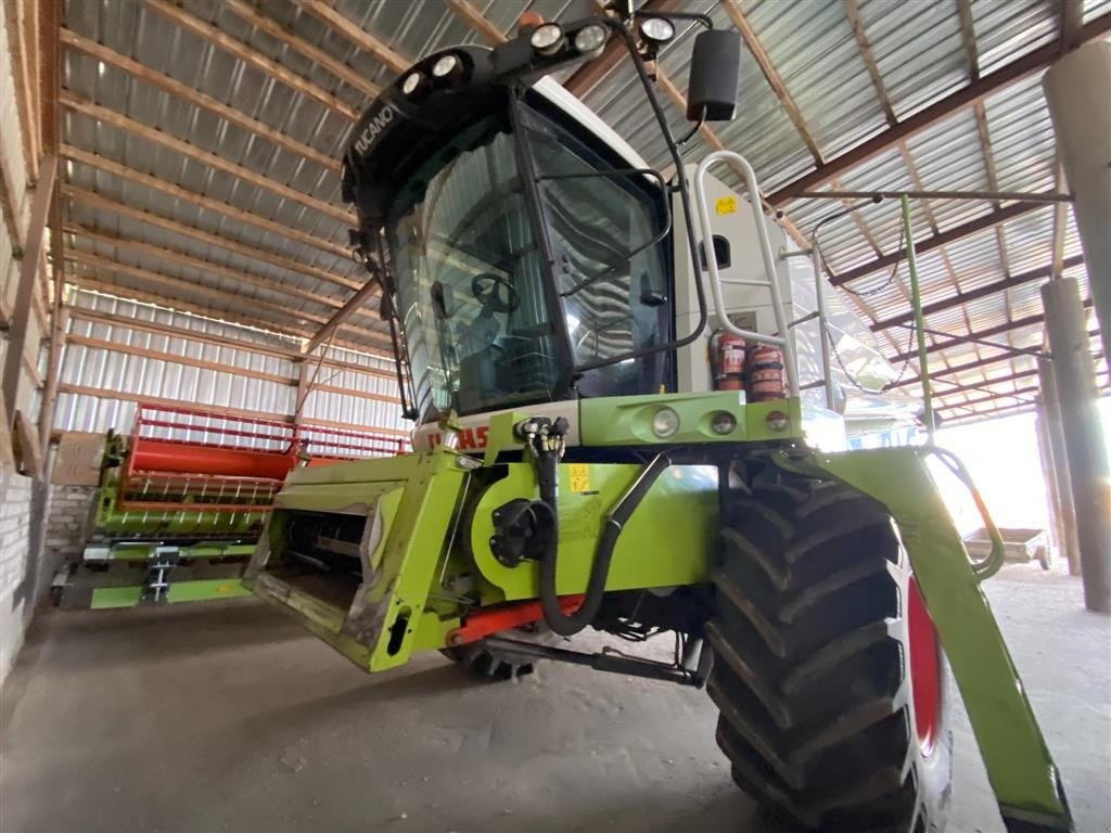 Mähdrescher Türe ait CLAAS Tucano 450 ( Mini Lexion ). Fin Mini Lexion. Rystemaskine Incl. 6,6 meter Vario skærebord. Ring til Ulrik på 40255544. Jeg snakker Jysk, tysk og engelsk., Gebrauchtmaschine içinde Kolding (resim 3)