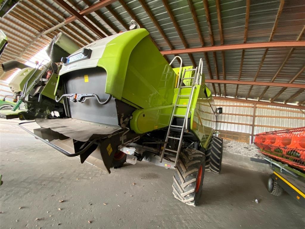 Mähdrescher typu CLAAS Tucano 450 ( Mini Lexion ). Fin Mini Lexion. Rystemaskine Incl. 6,6 meter Vario skærebord. Ring til Ulrik på 40255544. Jeg snakker Jysk, tysk og engelsk., Gebrauchtmaschine w Kolding (Zdjęcie 6)