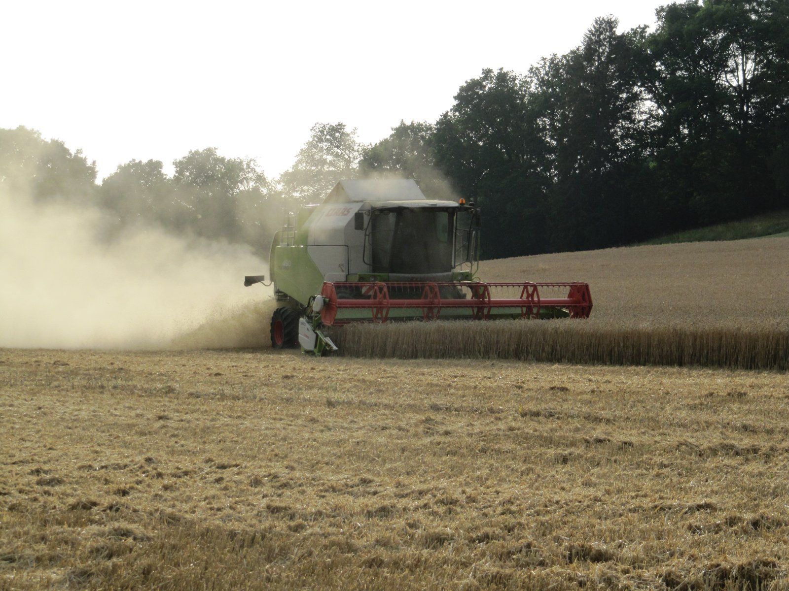 Mähdrescher du type CLAAS Tucano 450, Gebrauchtmaschine en Steinheim (Photo 1)