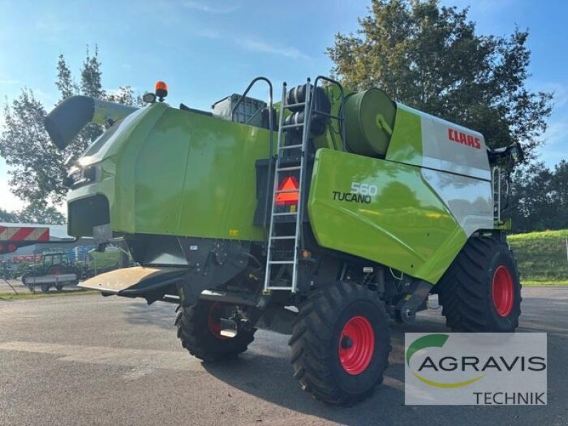 Mähdrescher of the type CLAAS TUCANO 560 BUSINESS, Gebrauchtmaschine in Meppen (Picture 3)