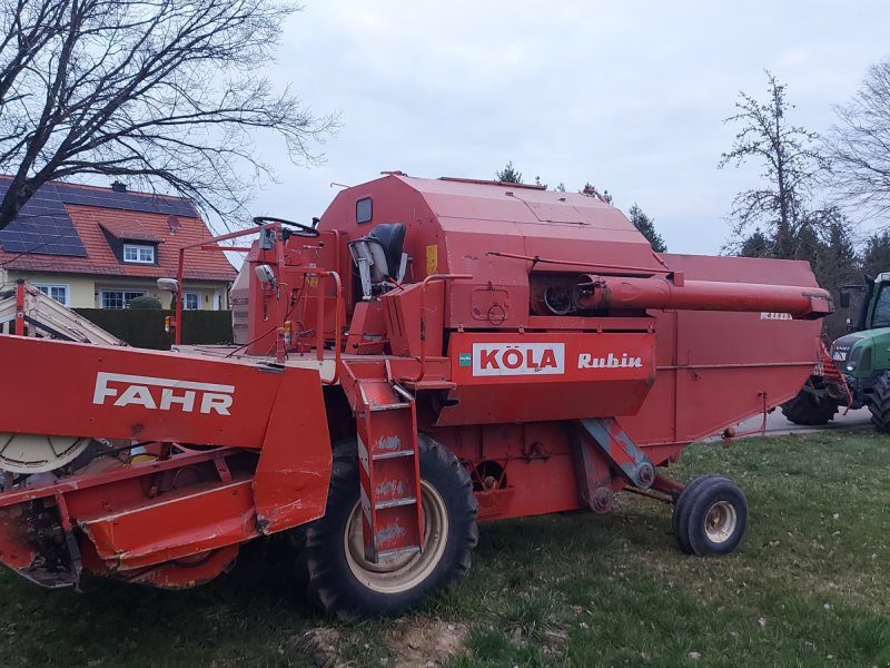 Mähdrescher от тип Deutz-Fahr Rubin, Gebrauchtmaschine в Pleinfeld (Снимка 1)