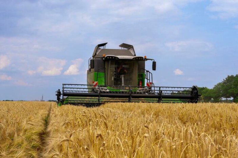 Mähdrescher typu Fendt 6335 C, Gebrauchtmaschine v Anröchte-Altengeseke (Obrázok 1)