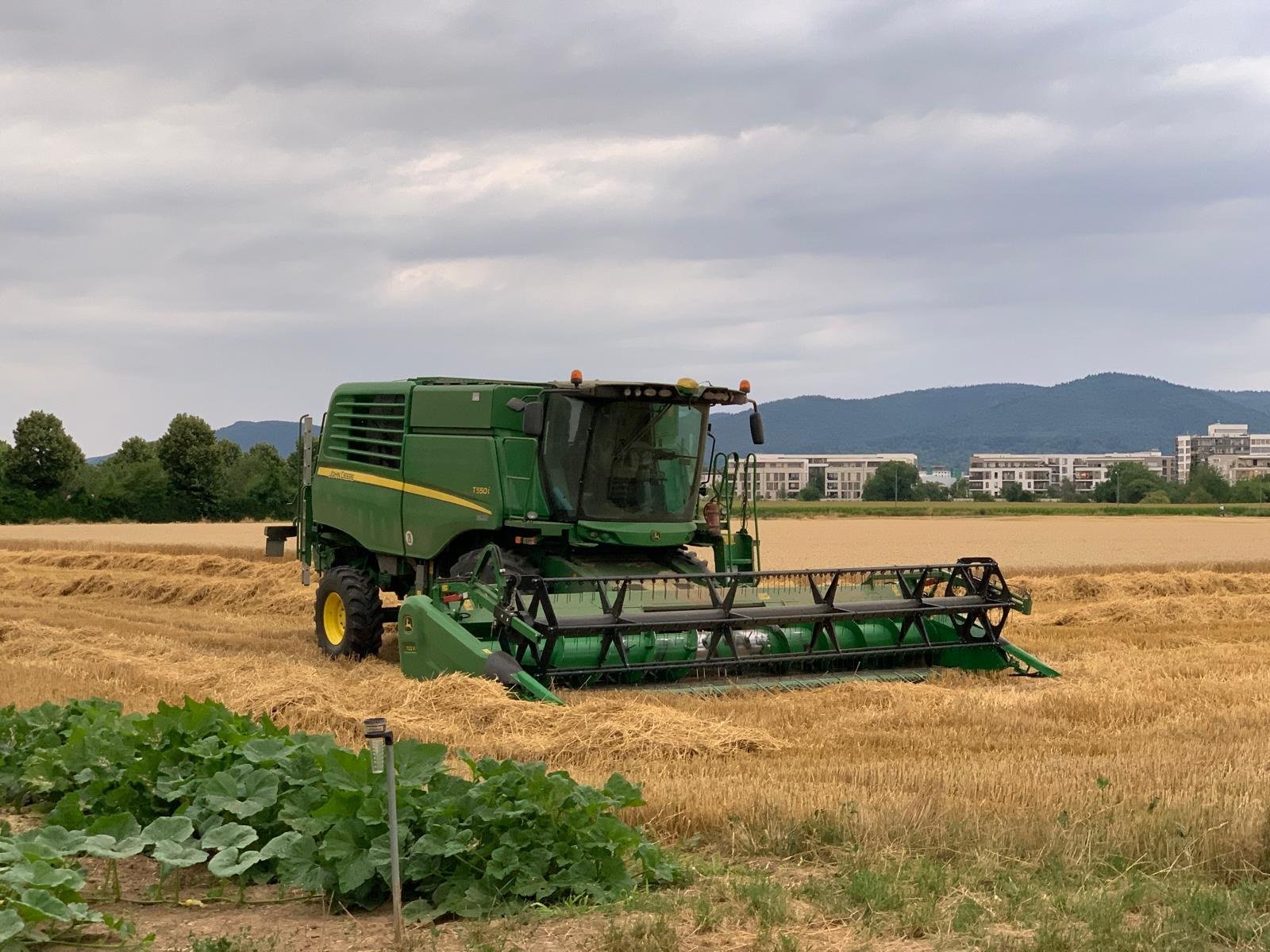 Mähdrescher van het type John Deere T 550i, Gebrauchtmaschine in Heidelberg (Foto 2)