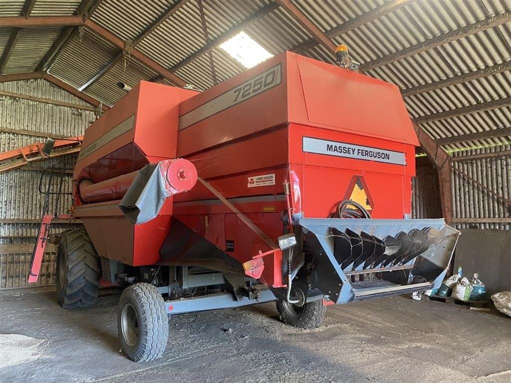 Mähdrescher du type Massey Ferguson 7250 16 fods. 2.800 ha. 2.194 motortimer og 1.830 høsttimer, Gebrauchtmaschine en øster ulslev (Photo 2)