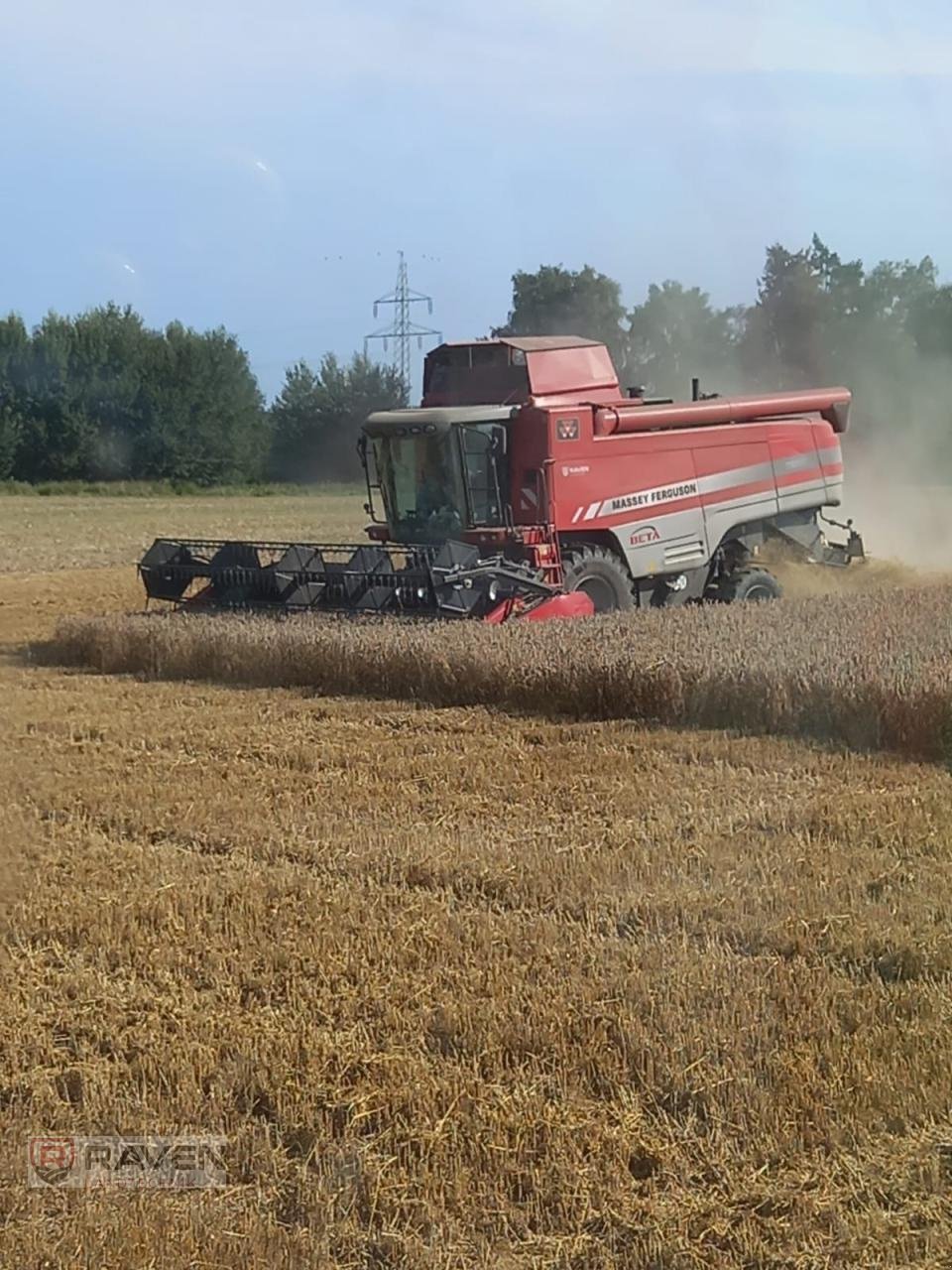 Mähdrescher des Typs Massey Ferguson 7270, Gebrauchtmaschine in Sulingen (Bild 1)