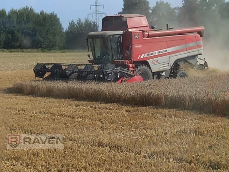 Mähdrescher typu Massey Ferguson 7270, Gebrauchtmaschine w Sulingen