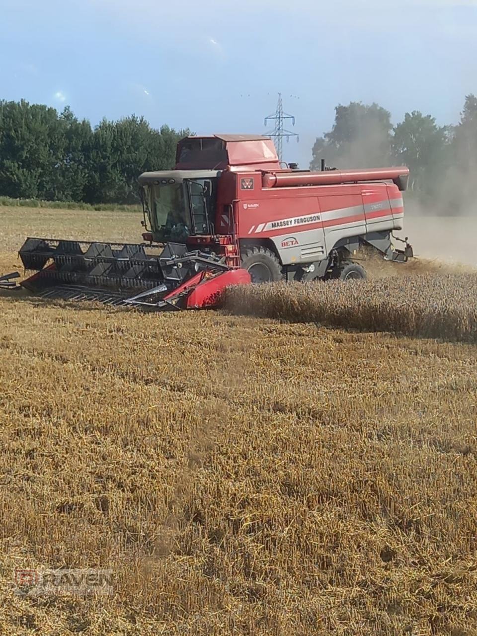 Mähdrescher des Typs Massey Ferguson 7270, Gebrauchtmaschine in Sulingen (Bild 2)