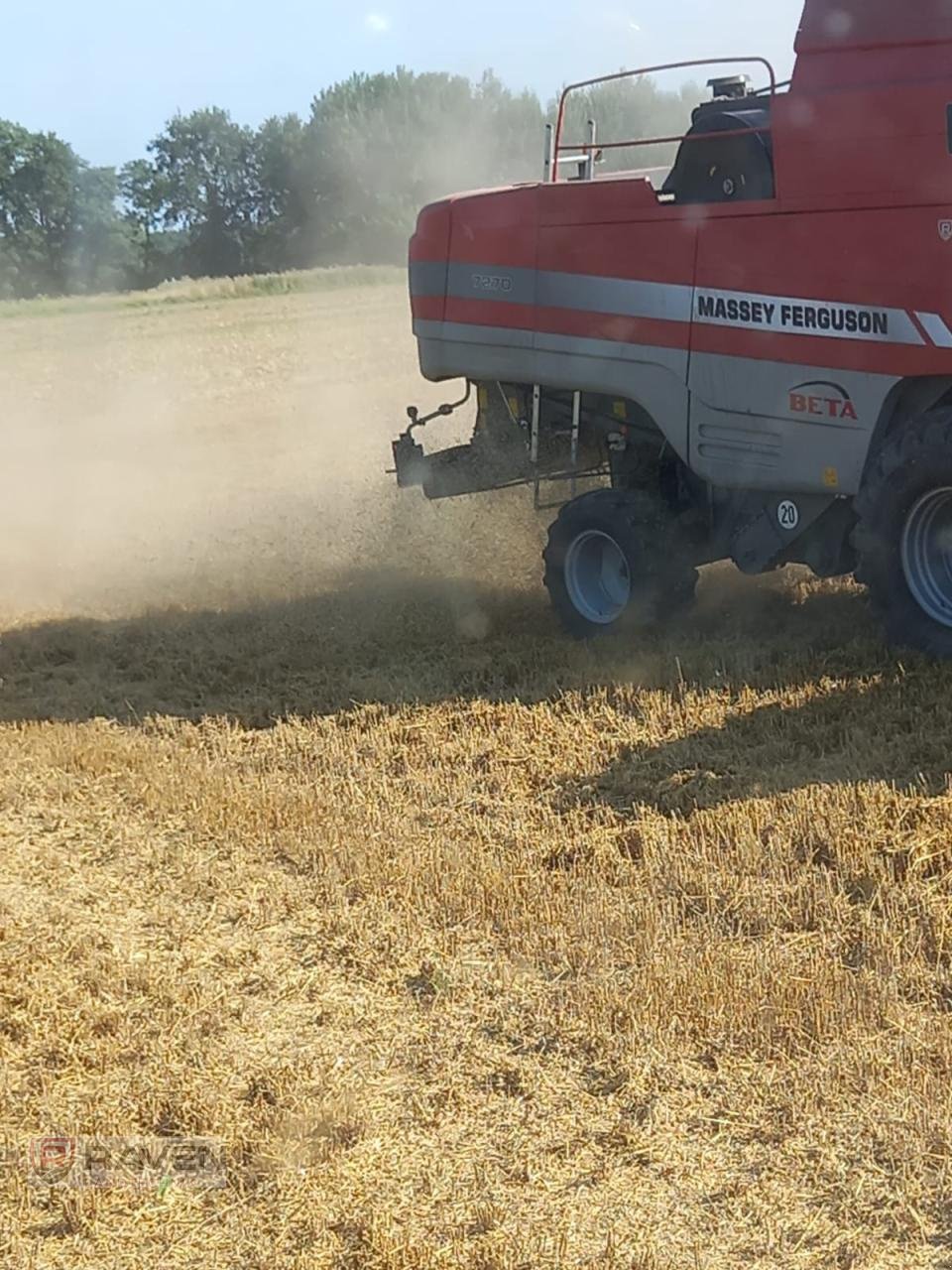 Mähdrescher of the type Massey Ferguson 7270, Gebrauchtmaschine in Sulingen (Picture 5)