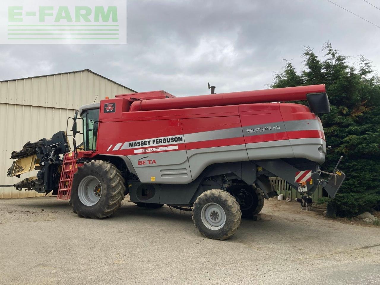 Mähdrescher du type Massey Ferguson 7270, Gebrauchtmaschine en PLOUIGNEAU (Photo 2)