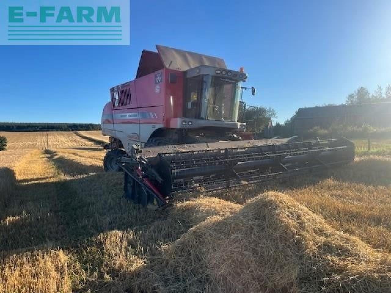 Mähdrescher typu Massey Ferguson 7282, Gebrauchtmaschine v LETHAM, FORFAR (Obrázek 1)