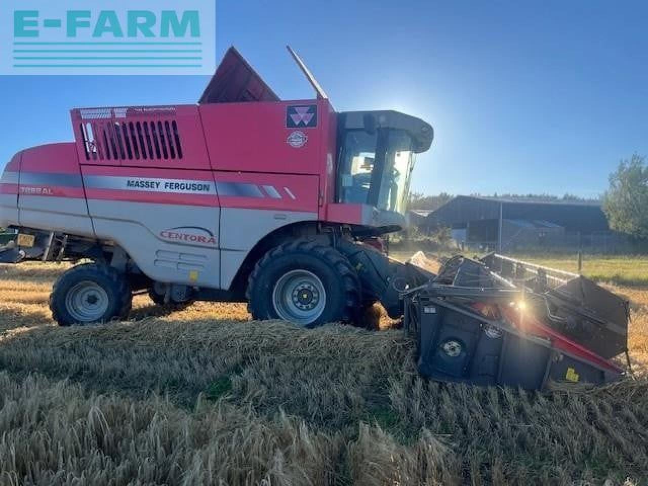 Mähdrescher typu Massey Ferguson 7282, Gebrauchtmaschine v LETHAM, FORFAR (Obrázek 2)