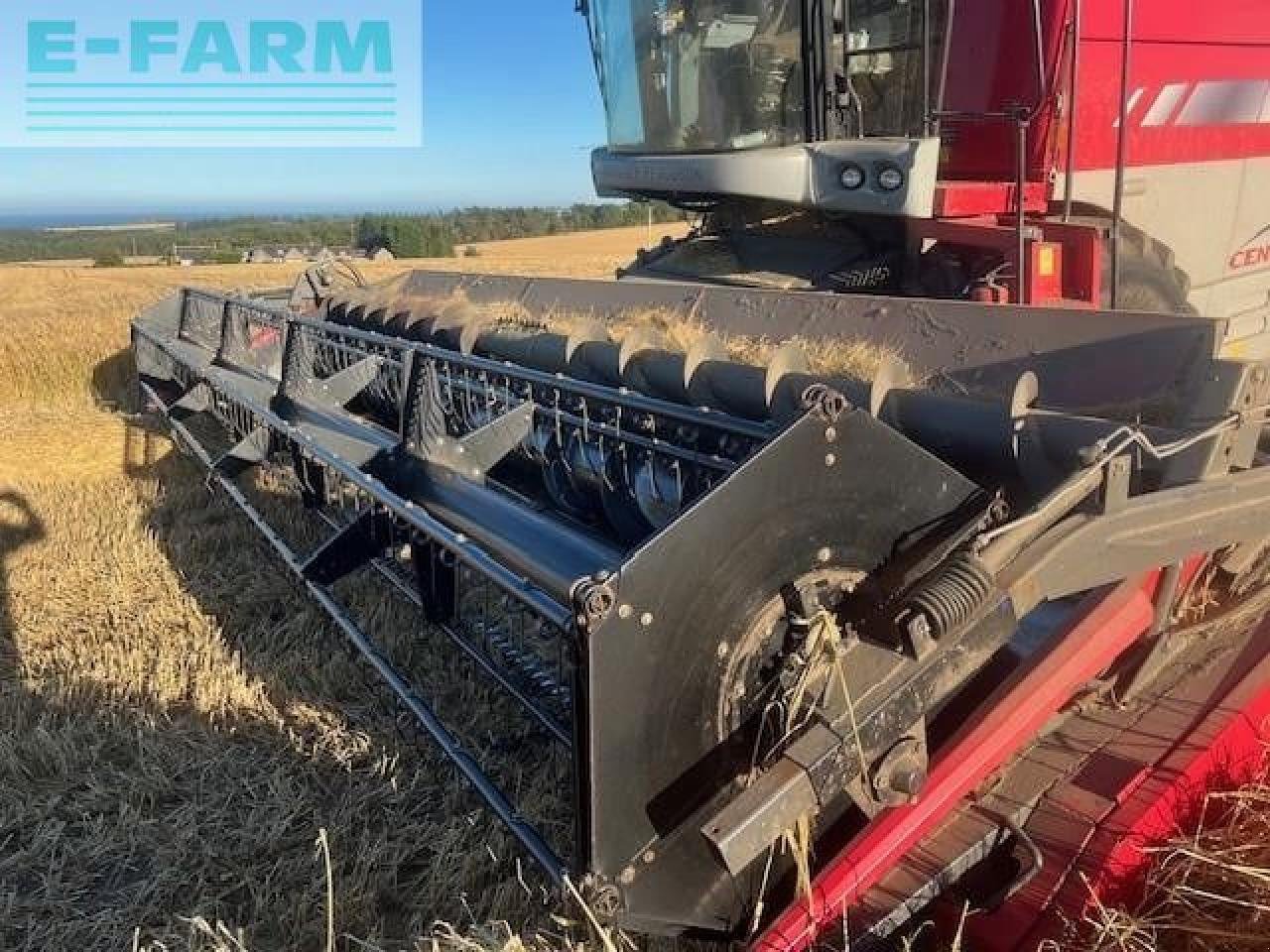 Mähdrescher typu Massey Ferguson 7282, Gebrauchtmaschine v LETHAM, FORFAR (Obrázek 8)