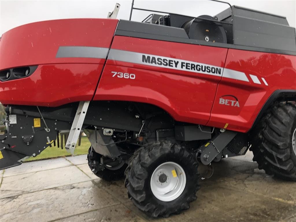 Mähdrescher Türe ait Massey Ferguson 7360 BETA som ny, kun 529 timer., Gebrauchtmaschine içinde Skive (resim 2)