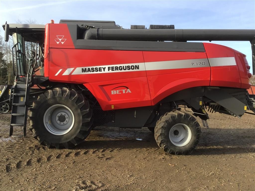 Mähdrescher des Typs Massey Ferguson 7370 Beta Skyline, Gebrauchtmaschine in Skive (Bild 1)