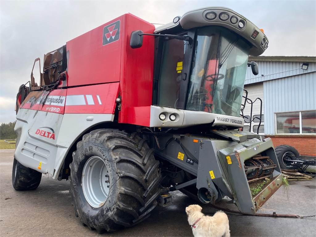 Mähdrescher of the type Massey Ferguson 9280, Gebrauchtmaschine in Hemmet (Picture 8)