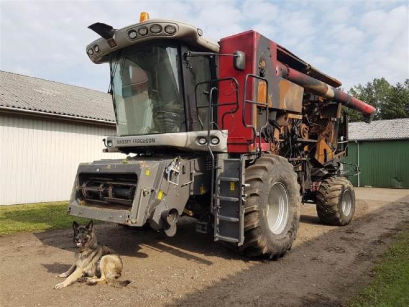 Mähdrescher Türe ait Massey Ferguson 9280, Gebrauchtmaschine içinde Hemmet (resim 1)