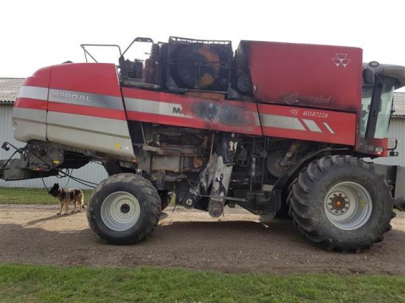 Mähdrescher tipa Massey Ferguson 9280, Gebrauchtmaschine u Hemmet (Slika 7)