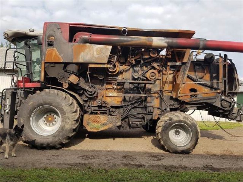 Mähdrescher del tipo Massey Ferguson 9280, Gebrauchtmaschine In Hemmet (Immagine 3)