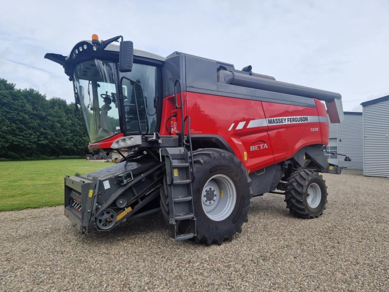 Mähdrescher a típus Massey Ferguson BETA 7370 M/25FF SKÆ, Gebrauchtmaschine ekkor: Jelling