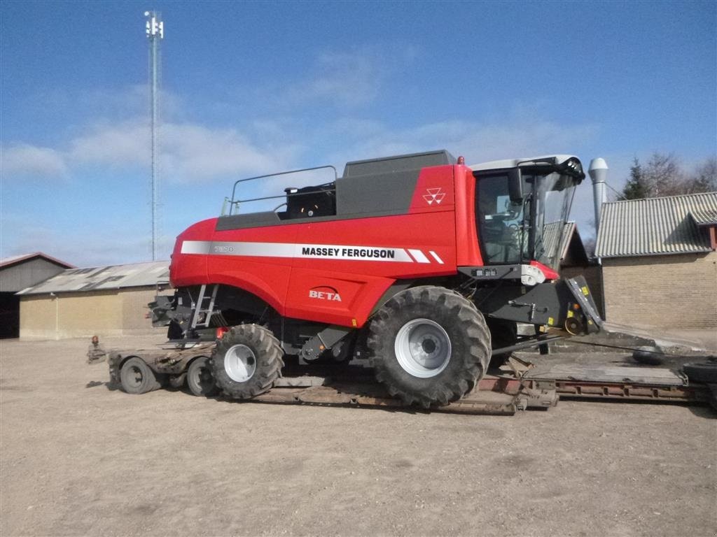 Mähdrescher a típus Massey Ferguson KØBES: ACTIVA, BETA, CENTORA, DELTA, Gebrauchtmaschine ekkor: Skive (Kép 2)