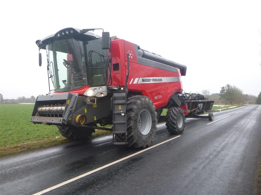 Mähdrescher van het type Massey Ferguson KØBES: ACTIVA, BETA, CENTORA, DELTA, Gebrauchtmaschine in Skive (Foto 1)