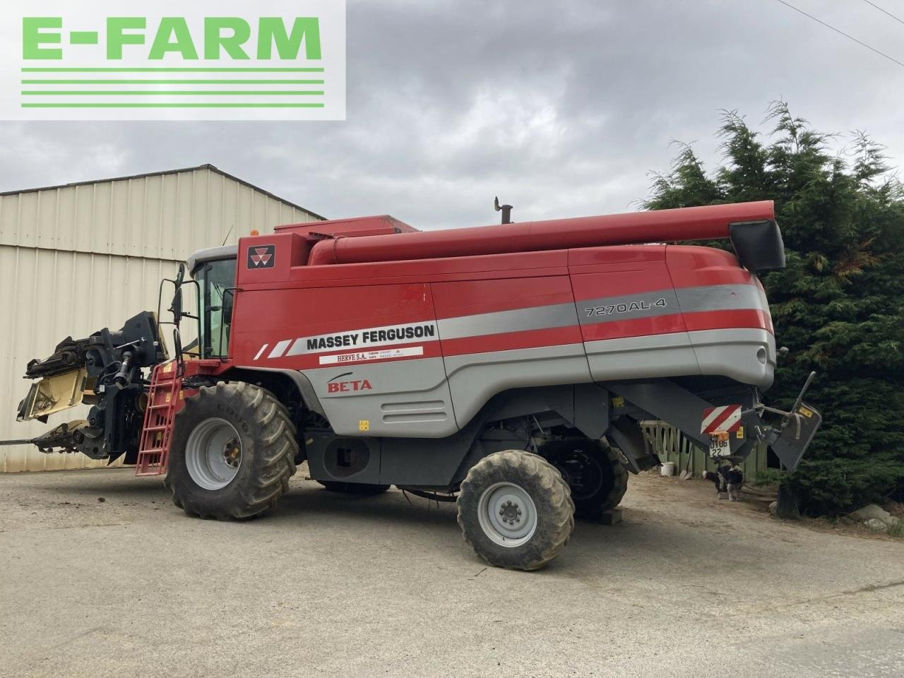 Mähdrescher typu Massey Ferguson mb m-f 7270 al-4, Gebrauchtmaschine v PLOUIGNEAU (Obrázek 2)