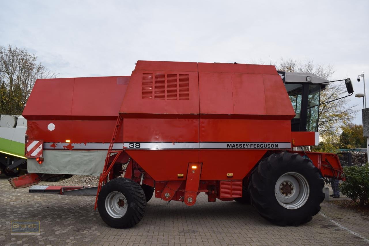 Mähdrescher des Typs Massey Ferguson MF 38, Gebrauchtmaschine in Oyten (Bild 1)