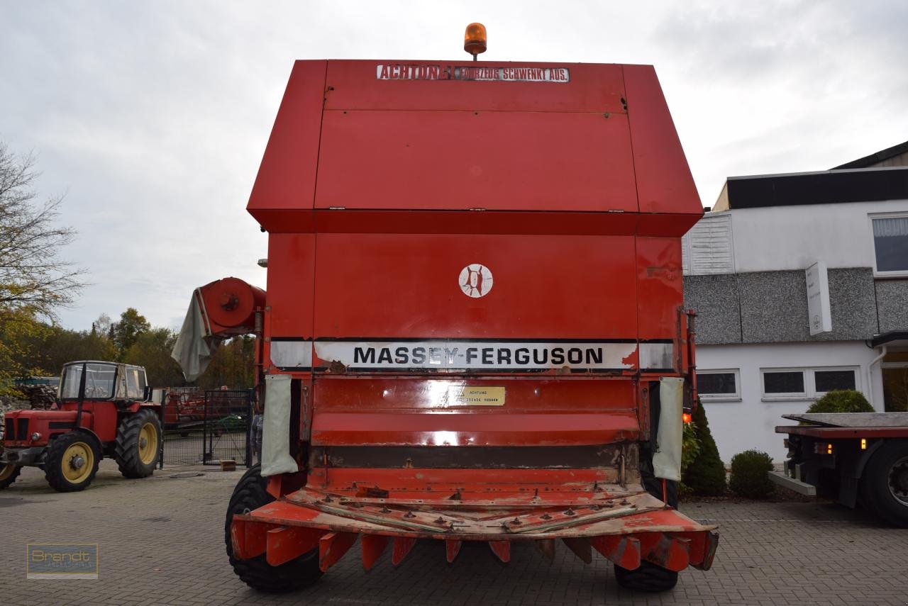 Mähdrescher des Typs Massey Ferguson MF 38, Gebrauchtmaschine in Oyten (Bild 3)