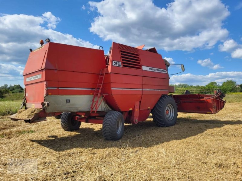 Mähdrescher del tipo Massey Ferguson MF38, Gebrauchtmaschine In Pragsdorf (Immagine 1)